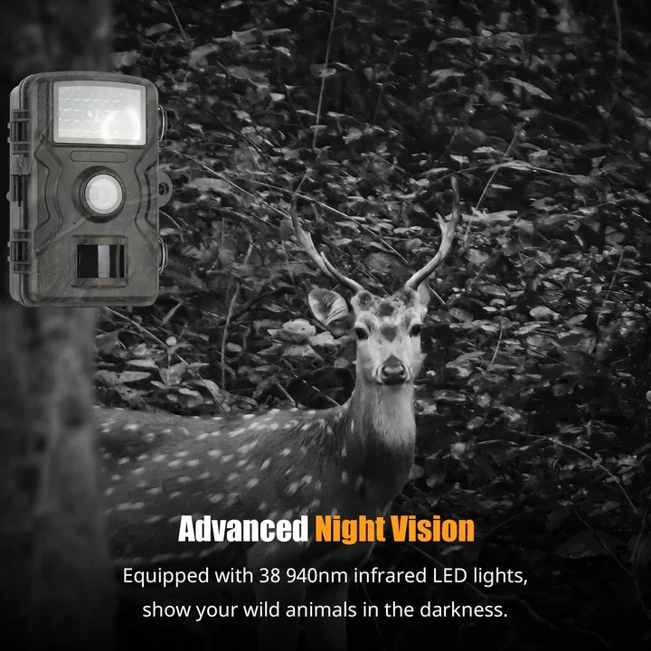 1080P Trail Camera with Night Vision Recording - Image 4