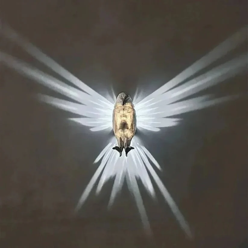 3D Bird Wing Projection Wall Light for Indoor Decorative Lighting - Image 3