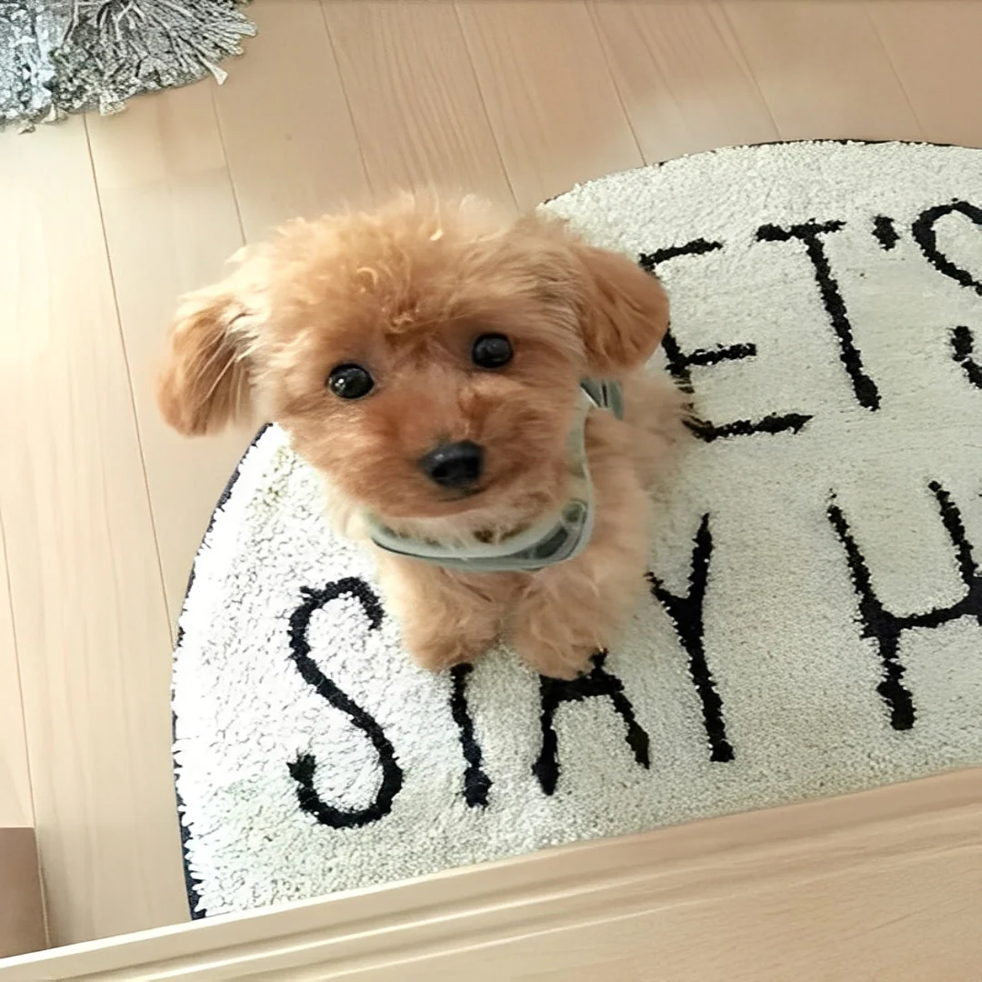 Teddy Dog Plush Toy - Image 2