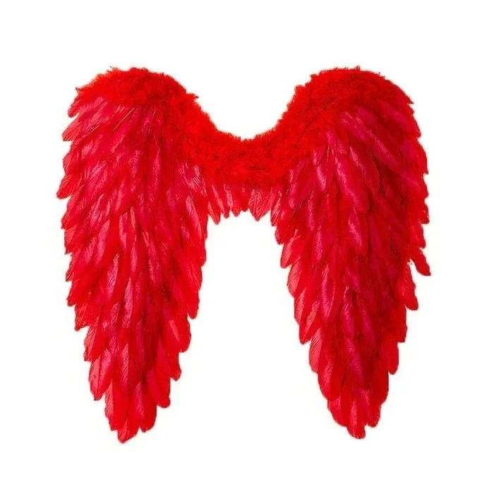 Angel Wings Costume with Realistic Feather Design - Image 3