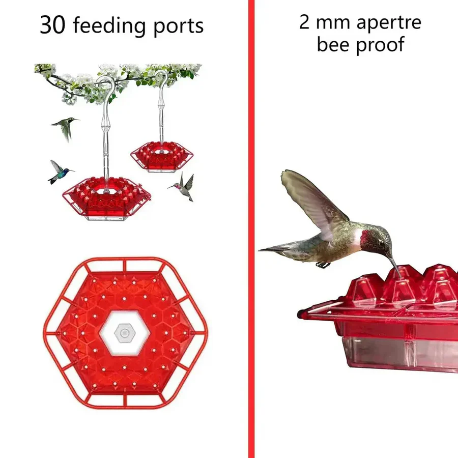 Hanging Hummingbird Feeder Leak Proof Design with Ant Protection & Perch - Image 4