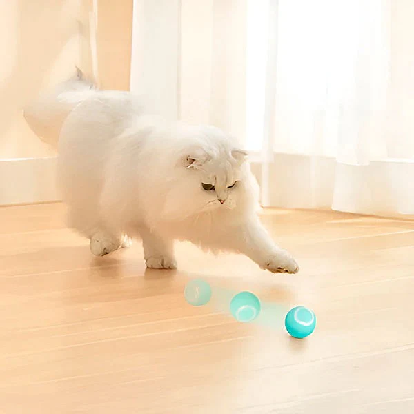 Automatic Rolling Pet Ball for Cats and Dogs with USB Charging - Image 3
