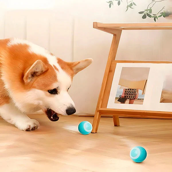 Automatic Rolling Pet Ball for Cats and Dogs with USB Charging - Image 8