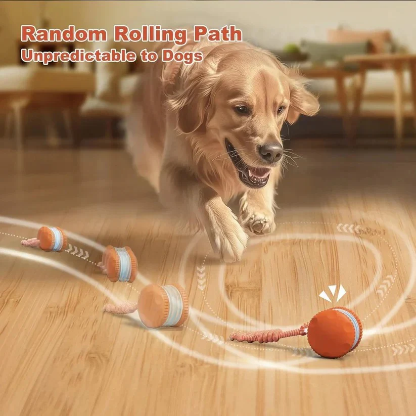 Automatic Rolling Ball Toy for Dogs with Rope, 2 Piece Set - Image 2