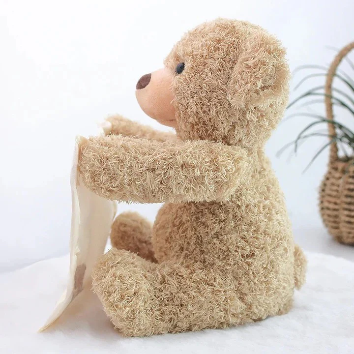 Peek A Boo Teddy Bear Plush Toy - Image 6