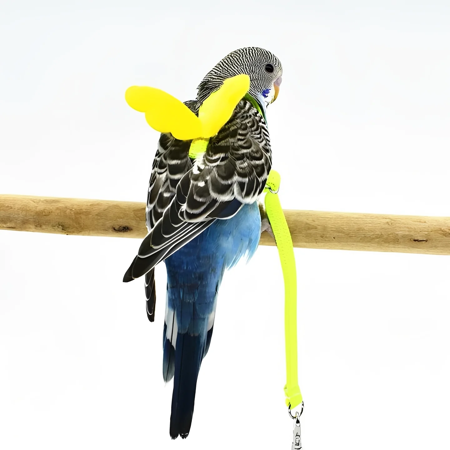 Bird Harness and Leash for Parrots - Image 3