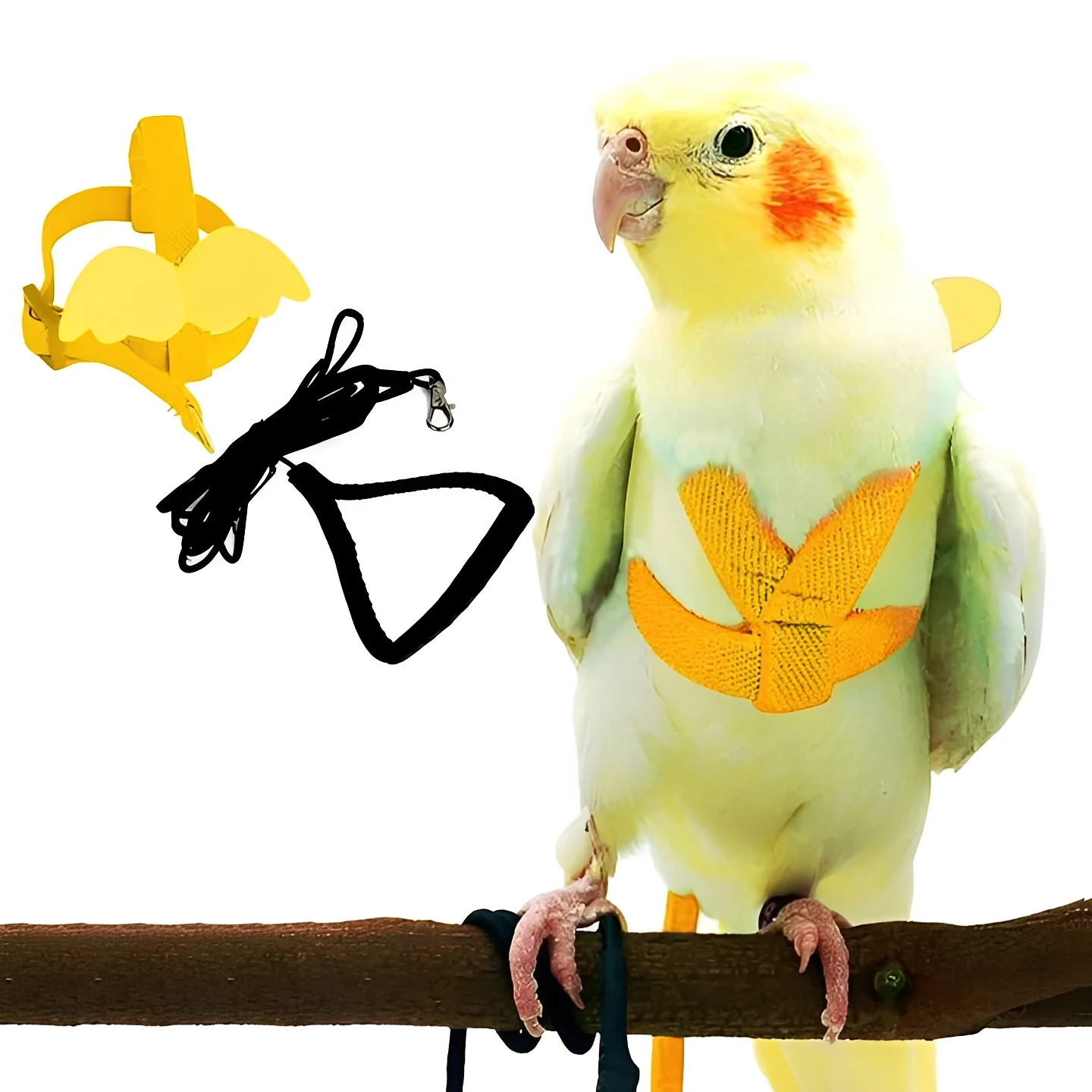 Bird Harness and Leash for Parrots - Image 4