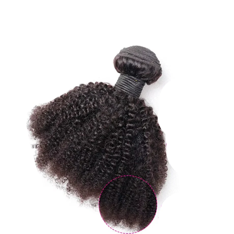 Brazilian Virgin Human Hair Bundles of Afro Kinky Curly Style
