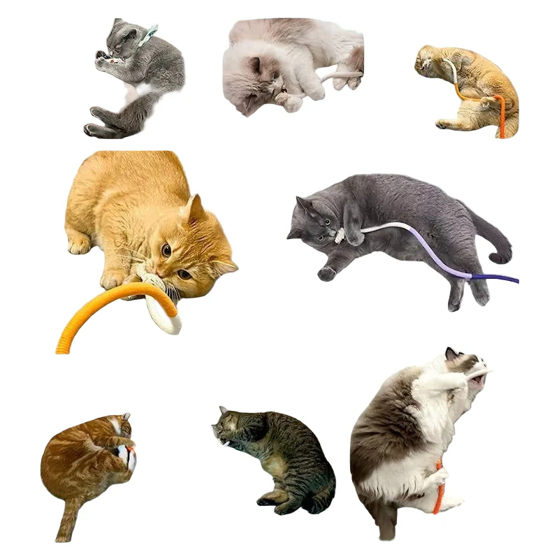 Cat Chew Toys for Playful Kittens - Image 3