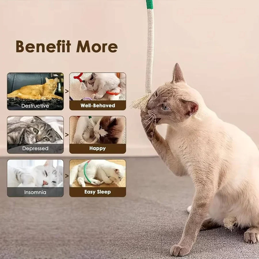 Cat Chew Toys for Playful Kittens - Image 9