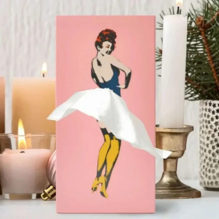 Creative Flying Skirt Tissue Holder for Living Room and Office - Image 3