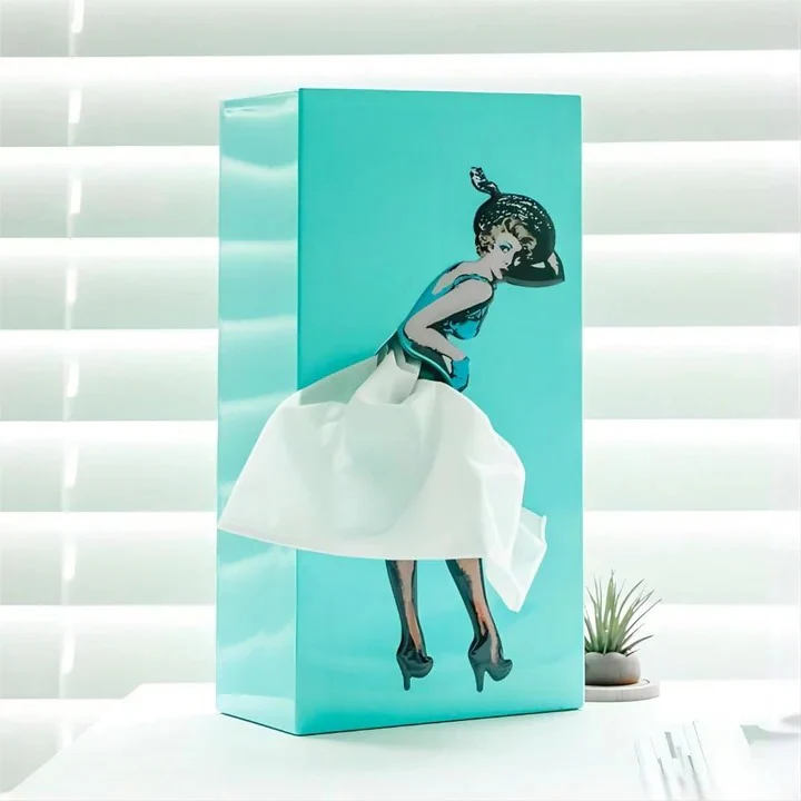 Creative Flying Skirt Tissue Holder for Living Room and Office - Image 5
