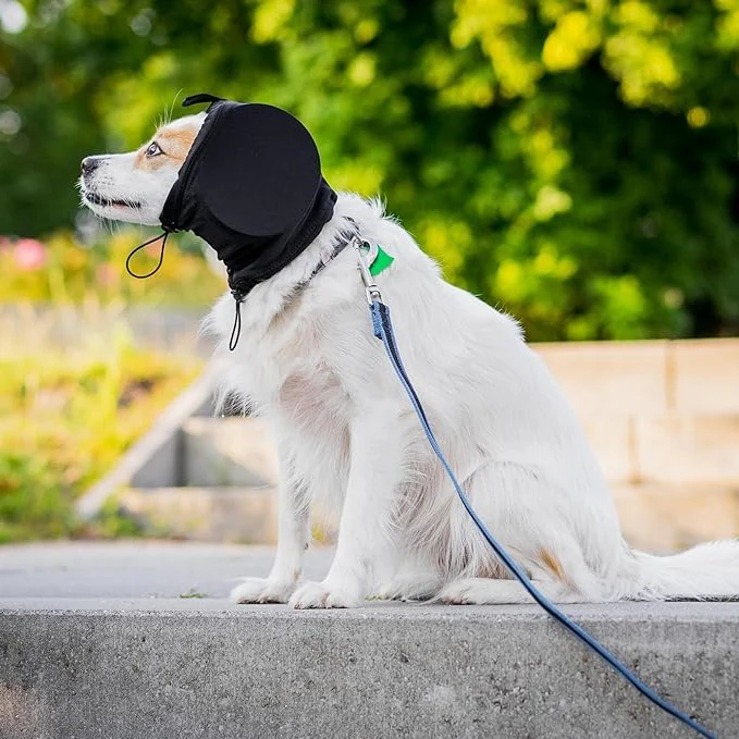 Dog Ear Muffs for Noise Reduction - Image 4