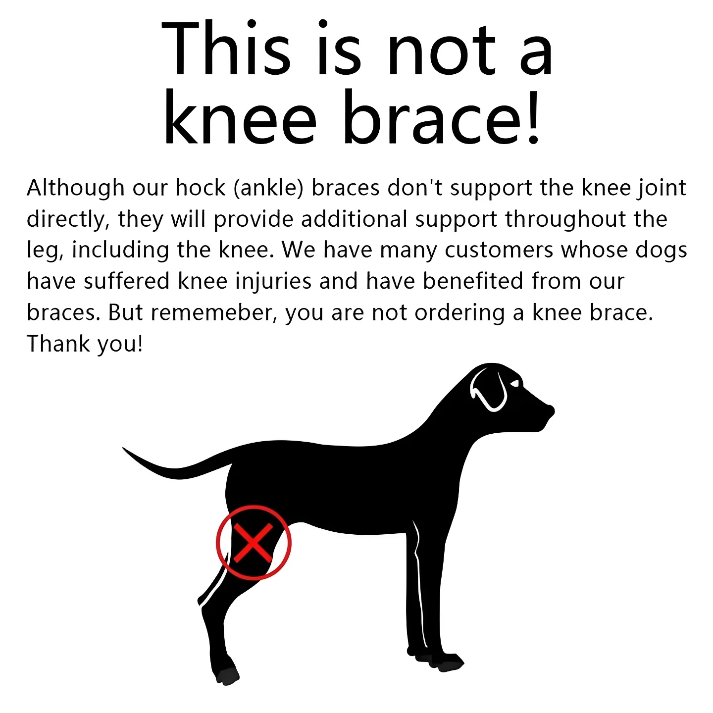 Dog Leg Support Brace with Adjustable Straps - Image 4