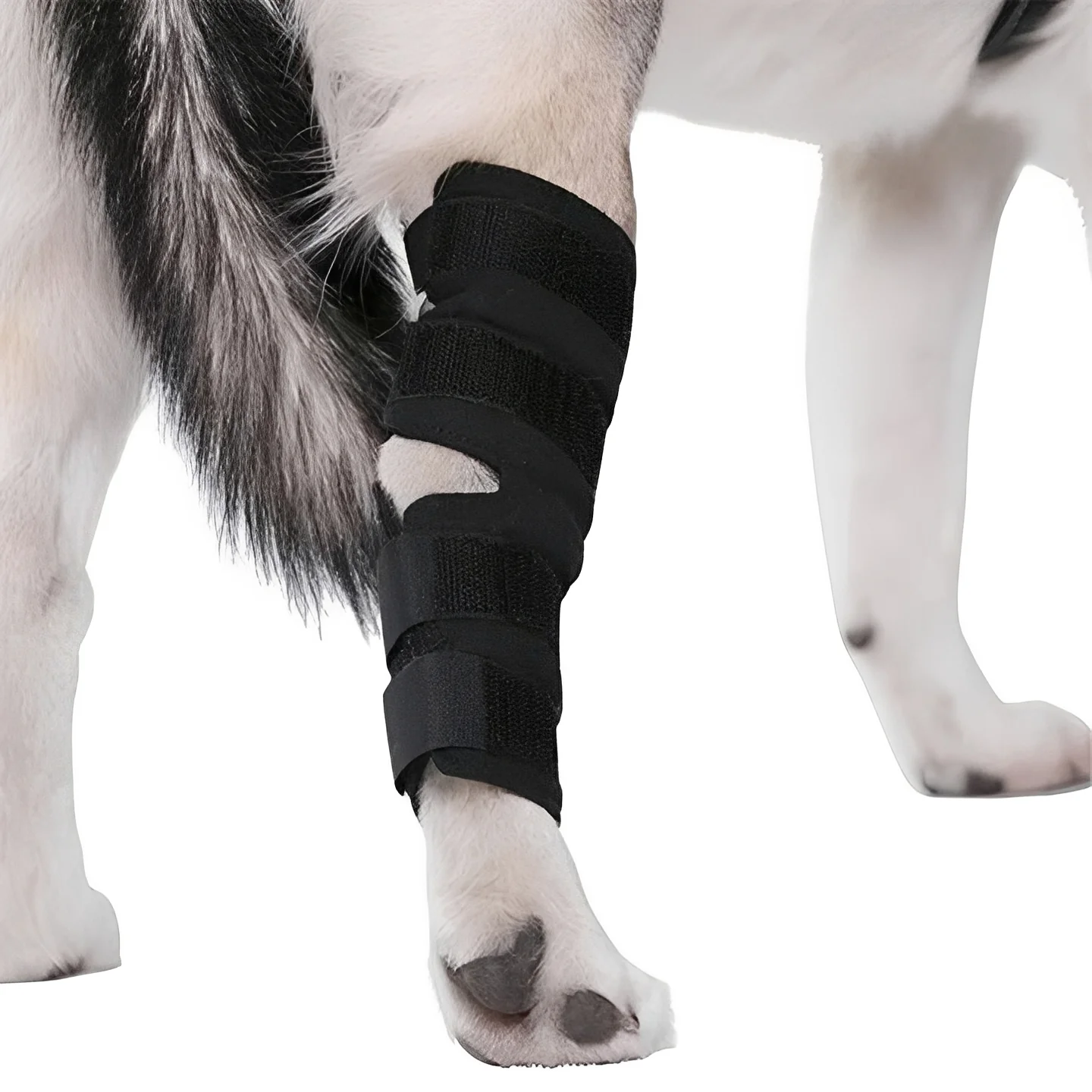 Dog Leg Support Brace with Adjustable Straps - Image 7