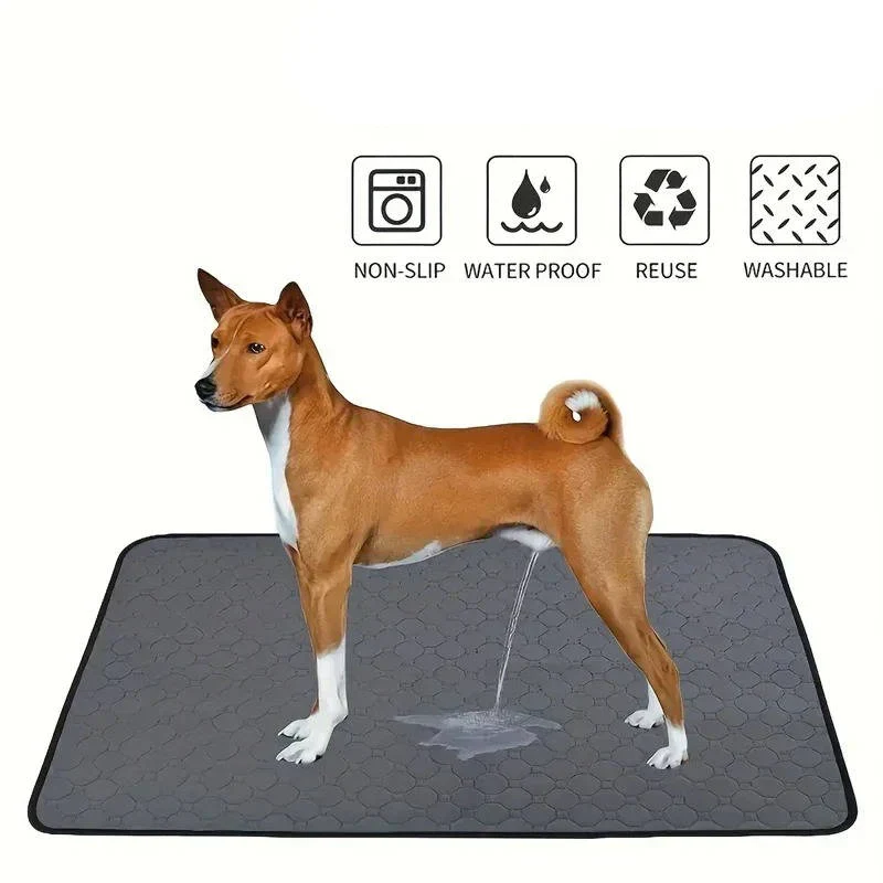 Dog Pee Pads Disposable and Reusable - Image 2
