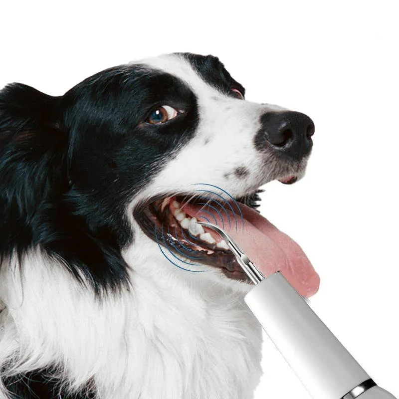 Dog Plaque, Tartar & Calculus Remover - Image 3