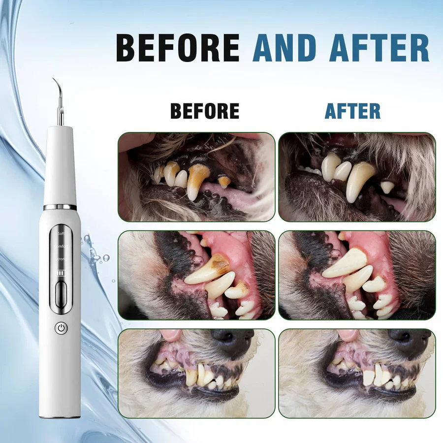 Dog Plaque, Tartar & Calculus Remover - Image 6