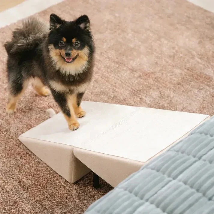 Adjustable 2 in 1 Pet Ramp and Step Stool - Image 8