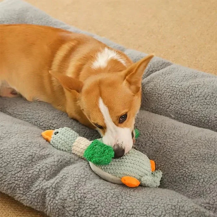 Reinforced Goose Plush Dog Toy with Textured Fabric - Image 16