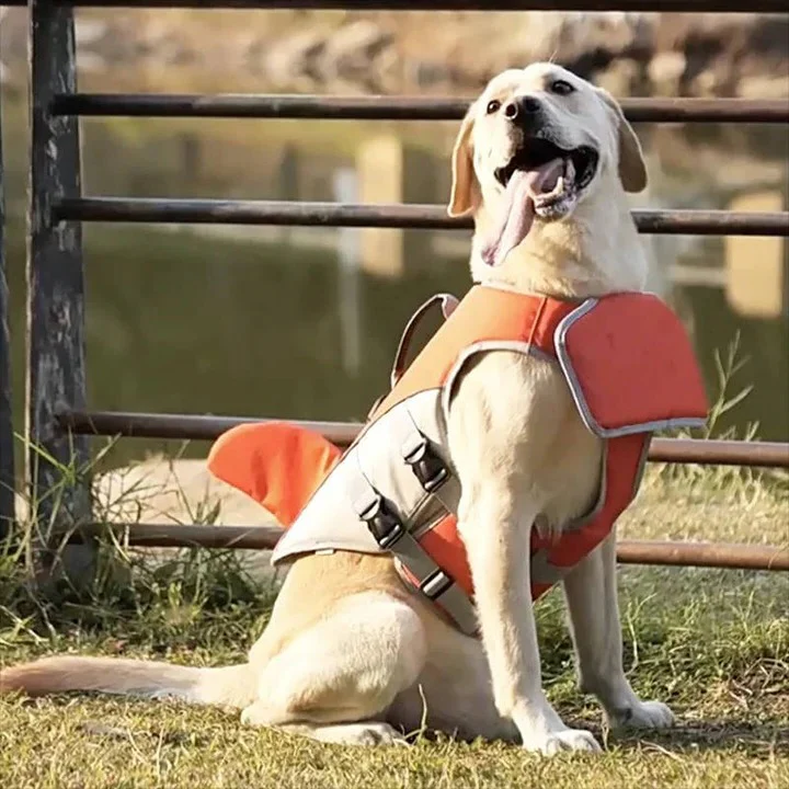 Floating Life Jacket for Dogs with Buoyancy Support - Image 3