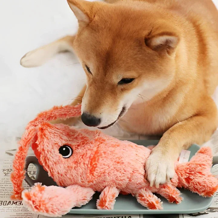 Floppy Lobster Dog Toy, Interactive Pet Toy