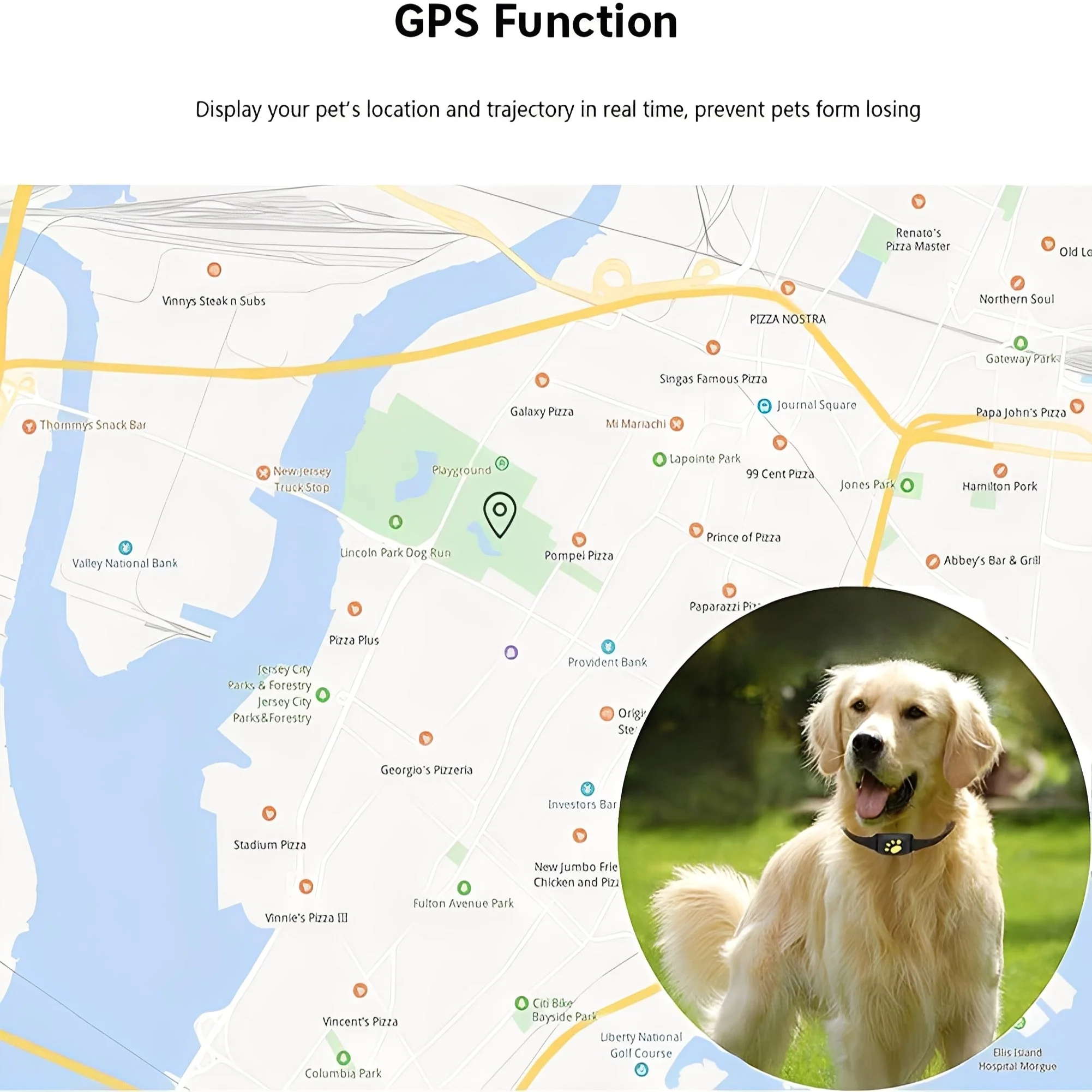 GPS Pet Collar with App Location Features and Adjustable Strap - Image 6