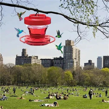 Hanging Bee Proof Hummingbird Water Feeders with Perch - Image 7