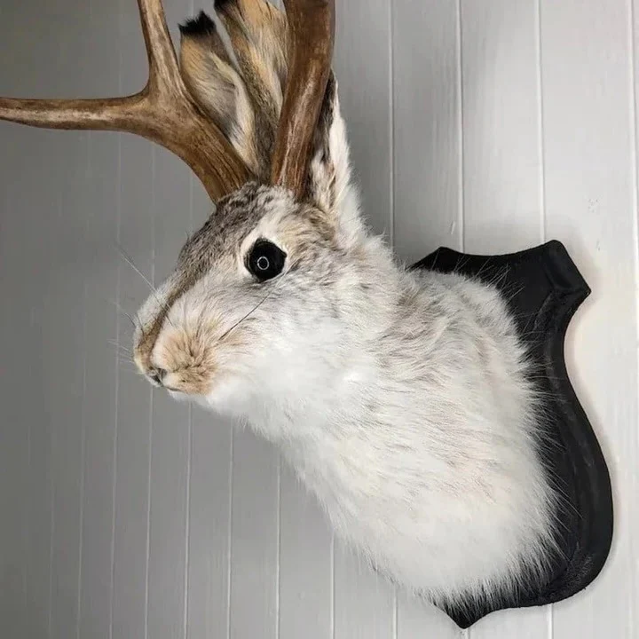Hanging Jackalope Wall Art - Image 2