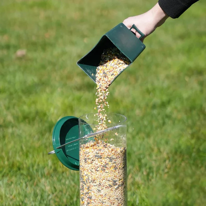 Bird Feeder with Squirrel Deterrent Features - Image 10