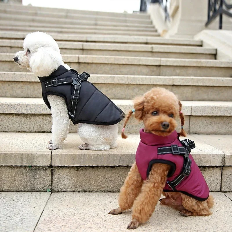 Insulated Dog Coat with Built In Harness for Cold Weather - Image 10