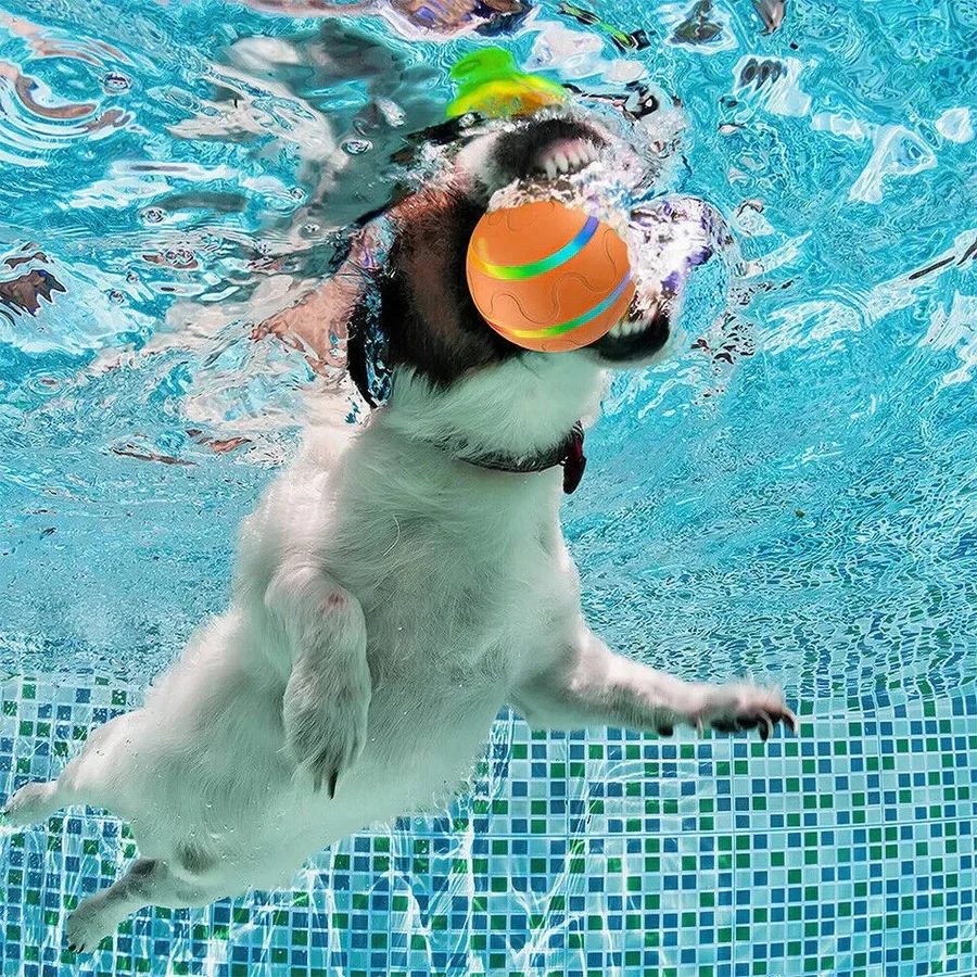 Interactive Dog and Cat Ball Toy - Image 8