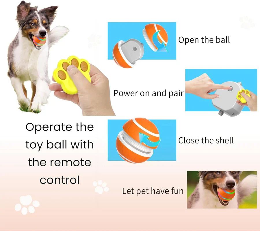 Interactive Dog and Cat Ball Toy - Image 9