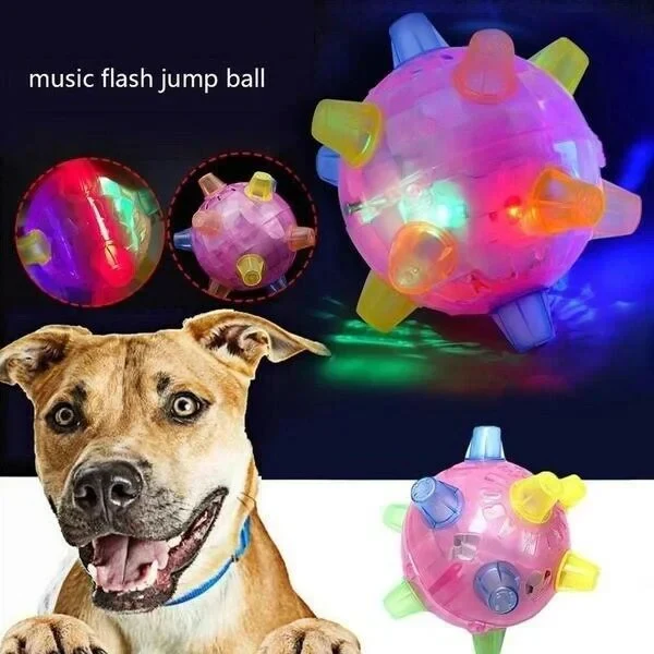 Jumping Activation Ball for Dogs, Interactive Bouncing Toy - Image 2