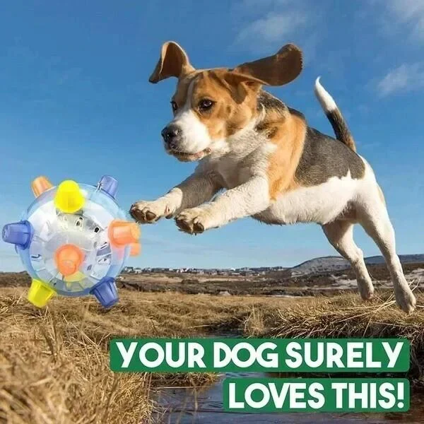 Jumping Activation Ball for Dogs, Interactive Bouncing Toy - Image 3