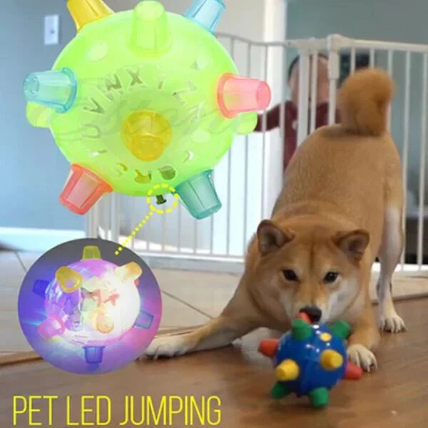 Jumping Activation Ball for Dogs, Interactive Bouncing Toy - Image 4
