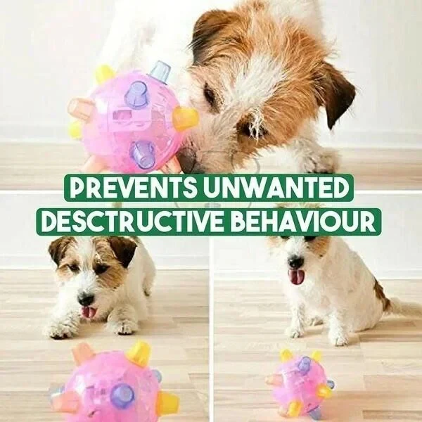Jumping Activation Ball for Dogs, Interactive Bouncing Toy - Image 5