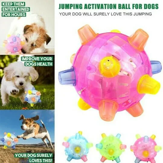 Jumping Activation Ball for Dogs, Interactive Bouncing Toy - Image 6