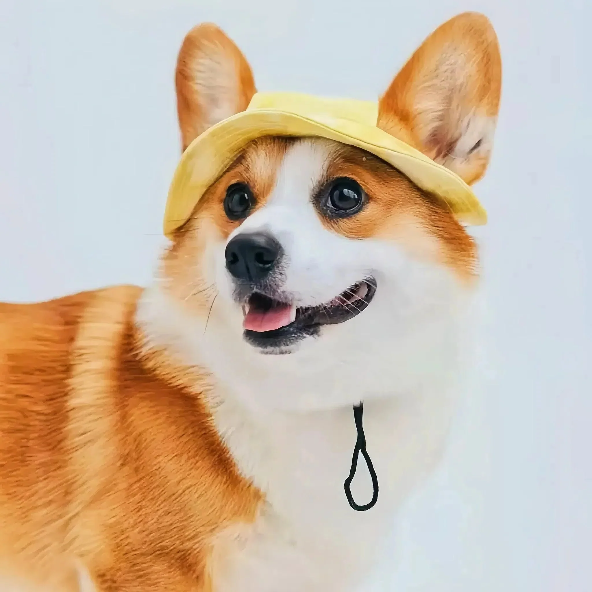 Pet Sun Hat with Adjustable Strap - Image 3