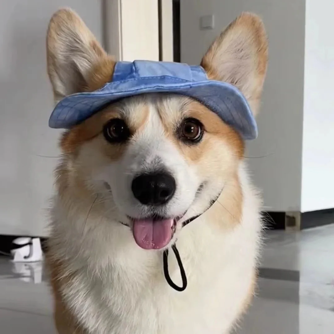 Pet Sun Hat with Adjustable Strap - Image 4