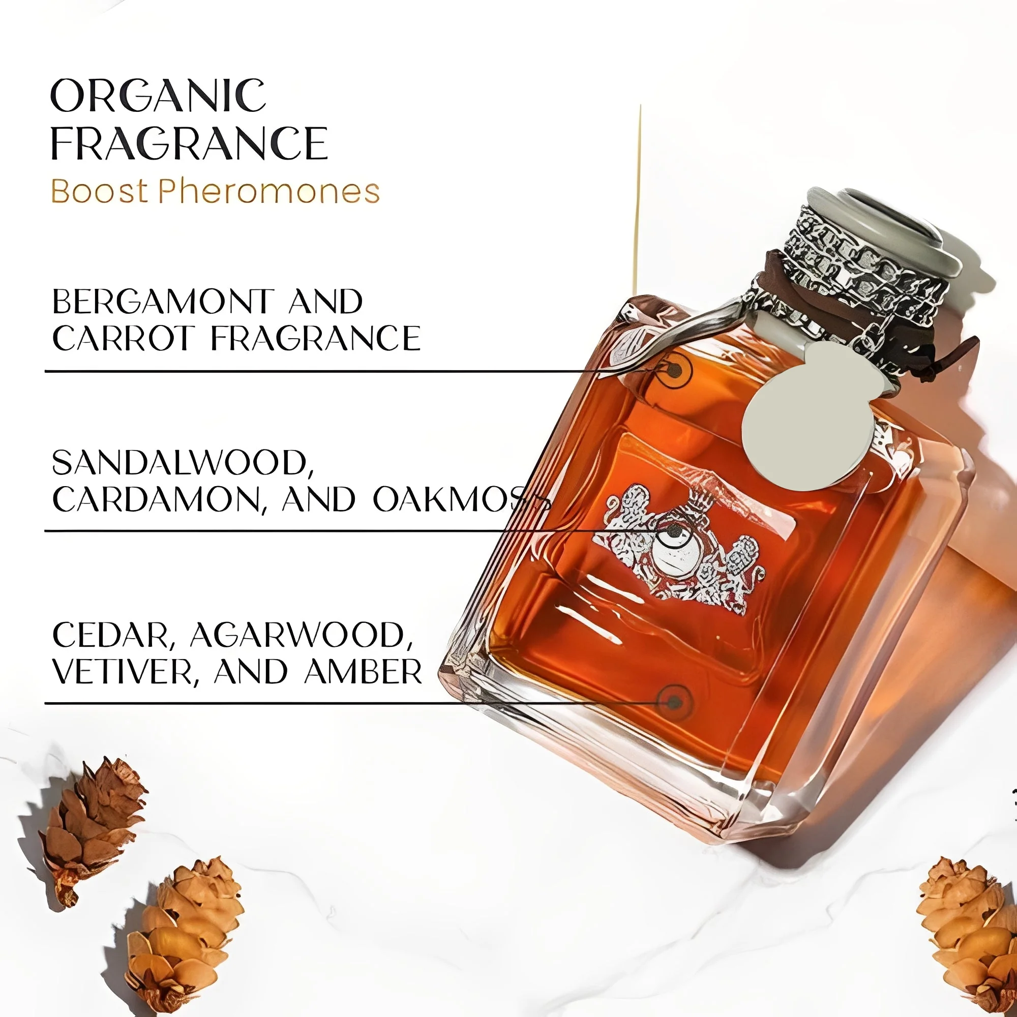 Men’s Scented Perfume Spray - Image 5