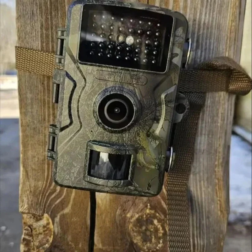 Night Vision Outdoor Wildlife Animal Camera - Image 3