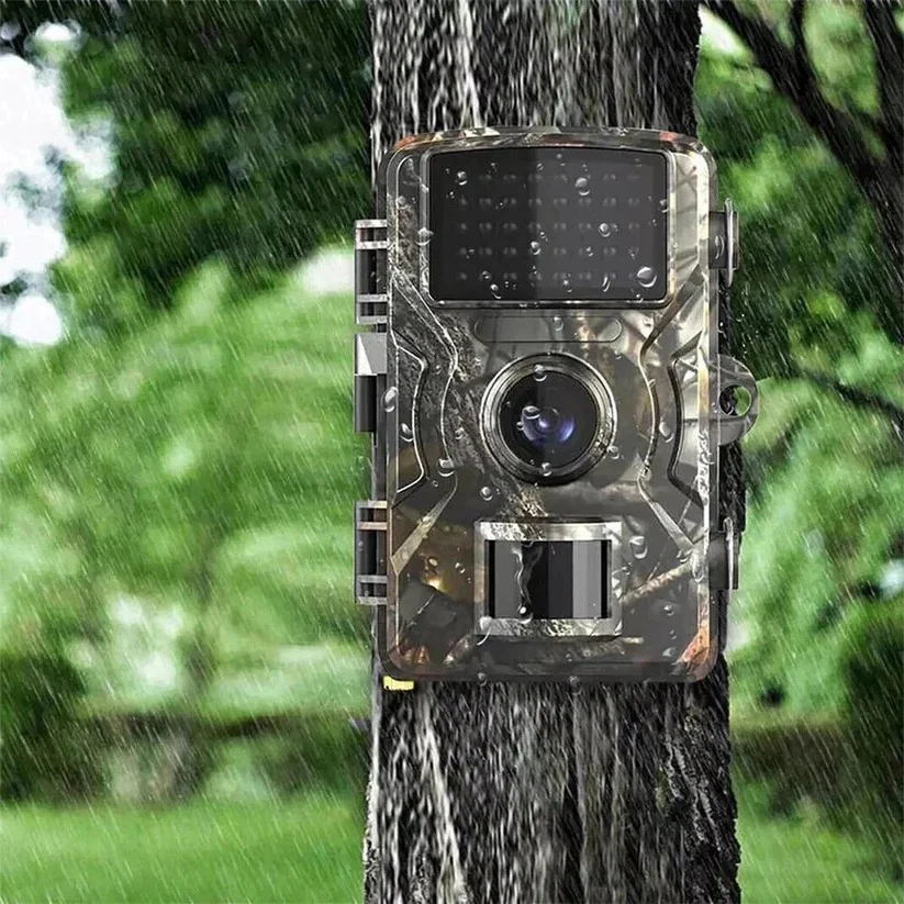 Night Vision Outdoor Wildlife Animal Camera - Image 4