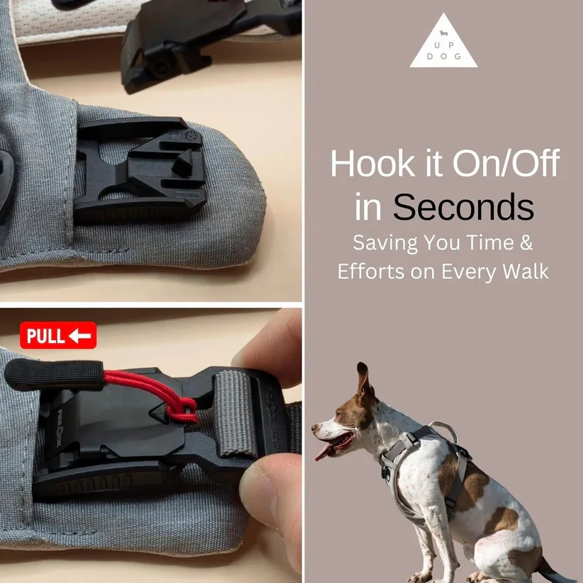 Adjustable Dog Harness with Magnetic Buckle and Front Back Clips - Image 10
