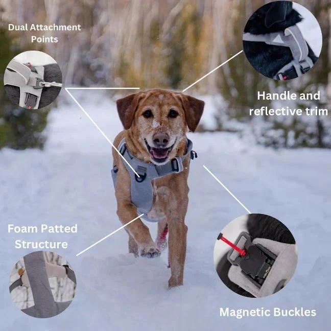 Adjustable Dog Harness with Magnetic Buckle and Front Back Clips - Image 11