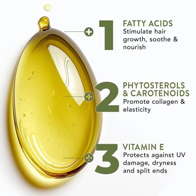 Batana Hair Oil with Rosemary and Vitamin E for Moisture Support - Image 2