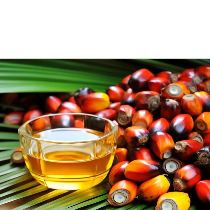 Batana Hair Oil with Rosemary and Vitamin E for Moisture Support - Image 4