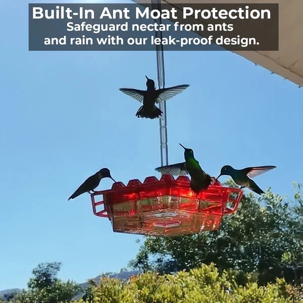 Outdoor Hummingbird Feeder with Ant Moat Feature - Image 4
