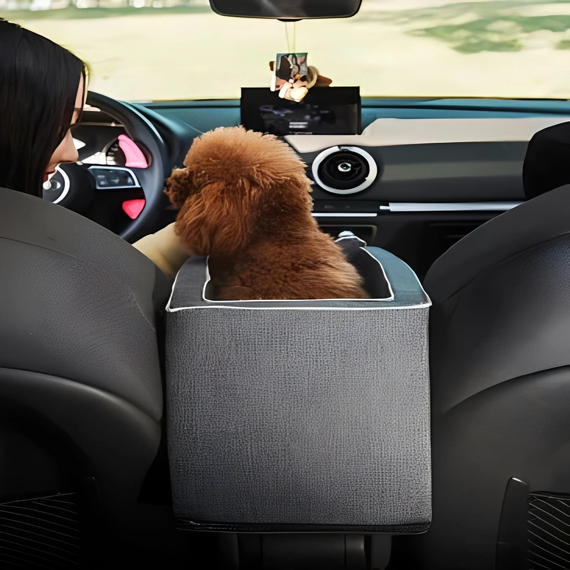 Compact Pet Travel Seat for Cars, Armrest Mount, Zipper Closure, Small Pets - Image 4