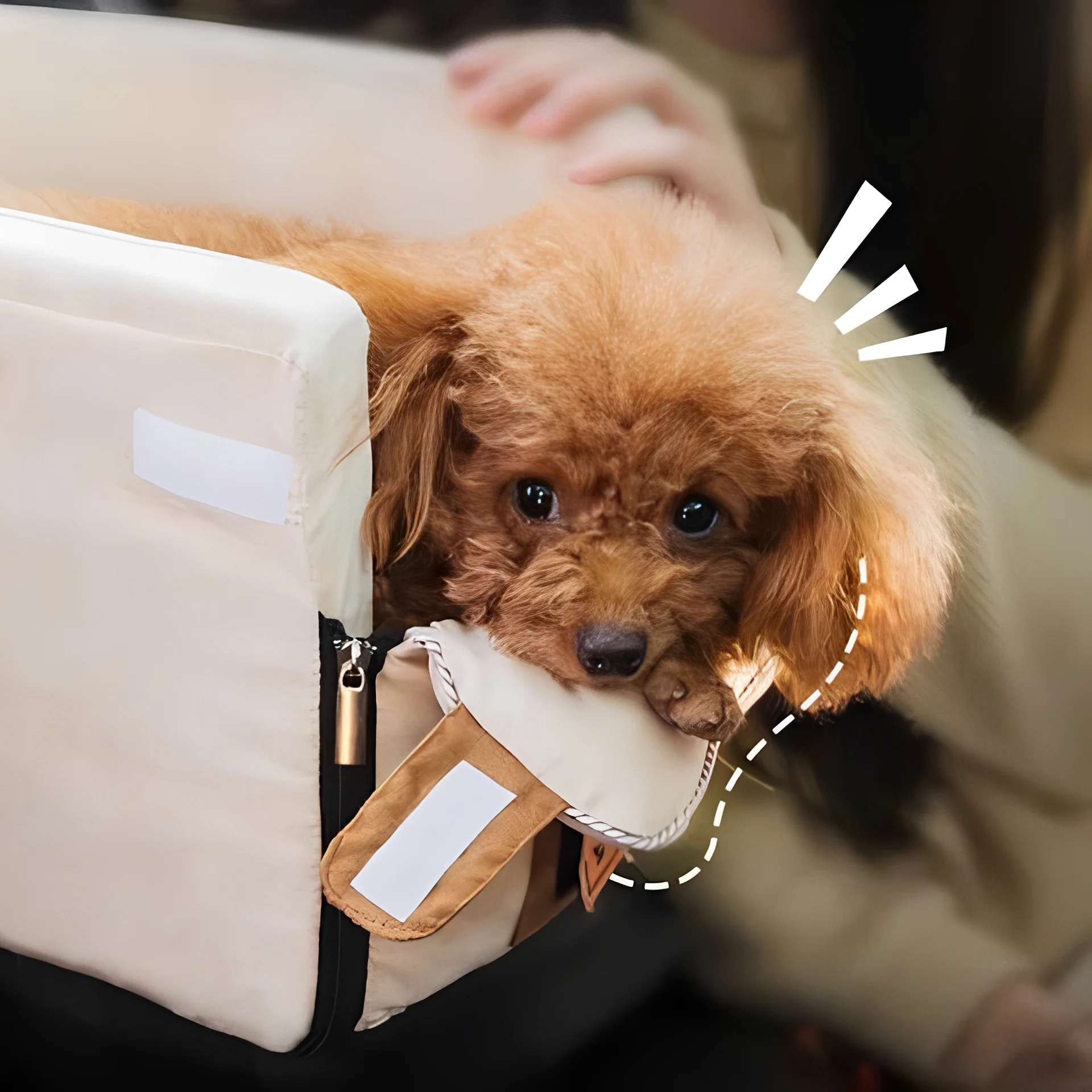 Compact Pet Travel Seat for Cars, Armrest Mount, Zipper Closure, Small Pets - Image 5
